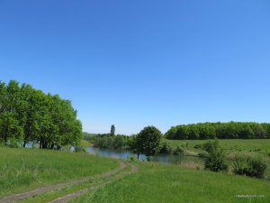IMG_2628.JPG