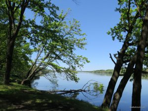 IMG_2631.JPG