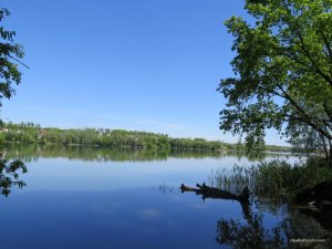 IMG_2632.JPG
