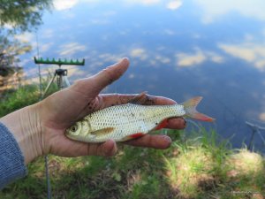 IMG_2638.JPG