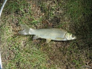 IMG_2640.JPG