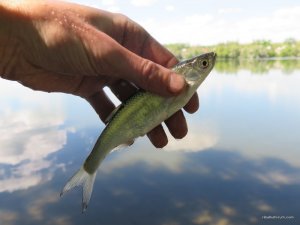 IMG_2644.JPG