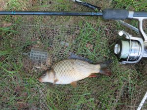 IMG_2645.JPG
