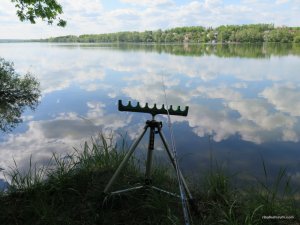 IMG_2648.JPG