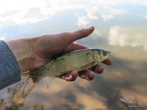 IMG_2650.JPG