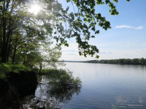 IMG_2653.JPG