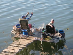 IMG_2668.JPG