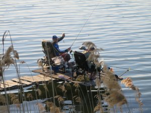 IMG_2671.JPG