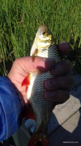 20170526_080938.jpg