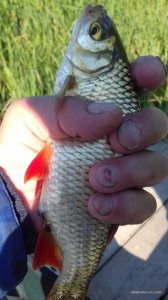 20170526_080951.jpg