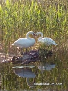 20170526_100921.jpg