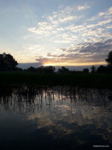 20170526_050104.jpg