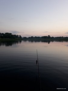 20170526_043109.jpg