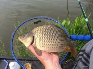 IMG_0725.JPG