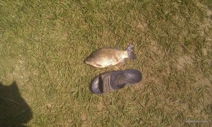 IMAG0066.jpg