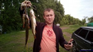 IMG_20170527_152338.jpg