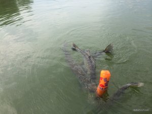 IMG_3132.JPG