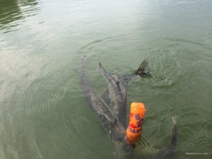 IMG_3133.JPG
