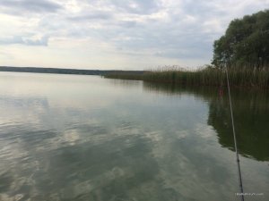 IMG_3134.JPG