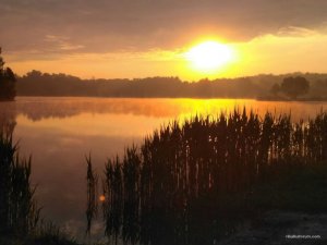 IMG_3141.JPG