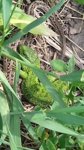 20170527_093748.jpg
