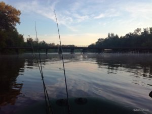 IMG_20170528_050426.jpg