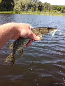 IMG_20170528_110524.jpg