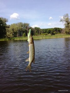 IMG_20170528_111651.jpg