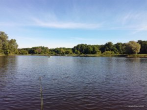 IMG_20170528_085147.jpg