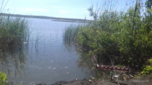 20170528_093011.jpg