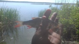 20170528_094512.jpg