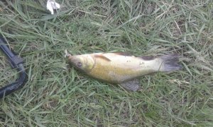 20170526_151722.jpg