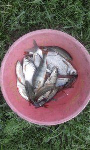 20170526_152816.jpg
