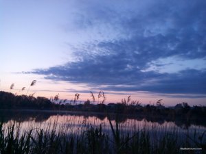 IMG_20170526_041710.jpg