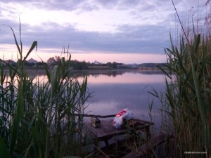 IMG_20170526_041920.jpg