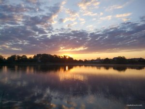 IMG_20170526_045759.jpg