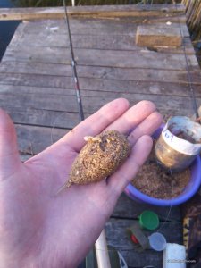IMG_20170526_051849.jpg