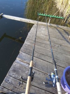 IMG_20170526_060936.jpg