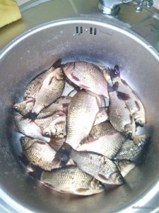 IMG_20170526_113824.jpg