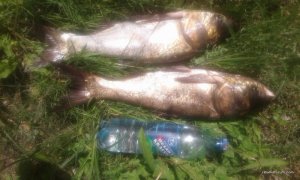 20170528_132432.jpg