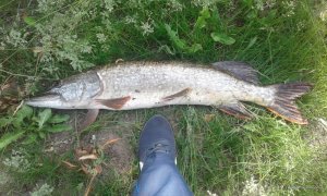 20170528_092328.jpg