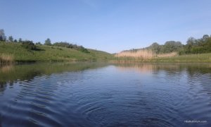 20170528_072327.jpg