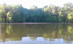 20170528_060753.jpg