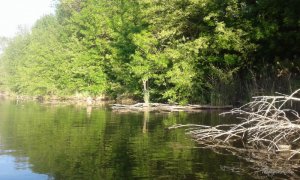 20170528_060745.jpg