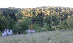 20170528_051338.jpg