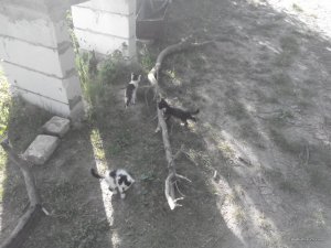 2017529071445.jpg