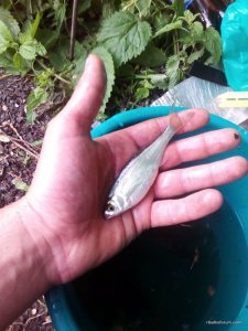IMG_20170526_193941.jpg