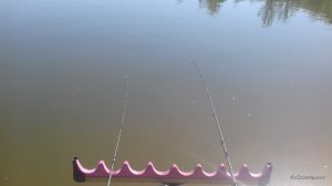 20170529_092416.jpg