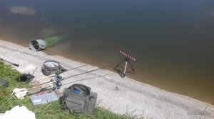 20170529_113432.jpg