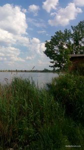 IMG_20170531_163003.jpg